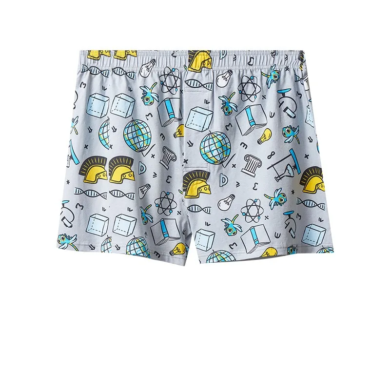 Mens Boxers Cotton Aro Pants S - Boxer Brief Pack Cotton recension och pris